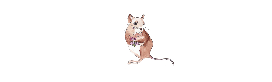 Book Illustrations - zdjęcie 7