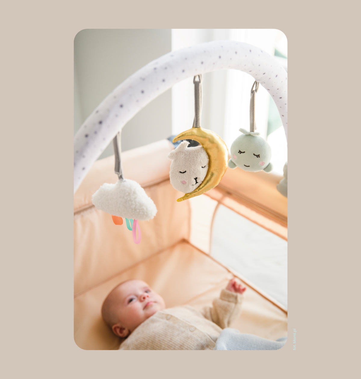 Toys Design | Momi.pl - zdjęcie 5